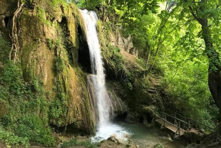 Sokobanja Apartmani Екстериор снимка