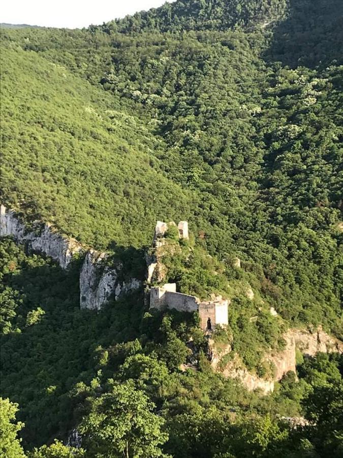 Sokobanja Apartmani Екстериор снимка
