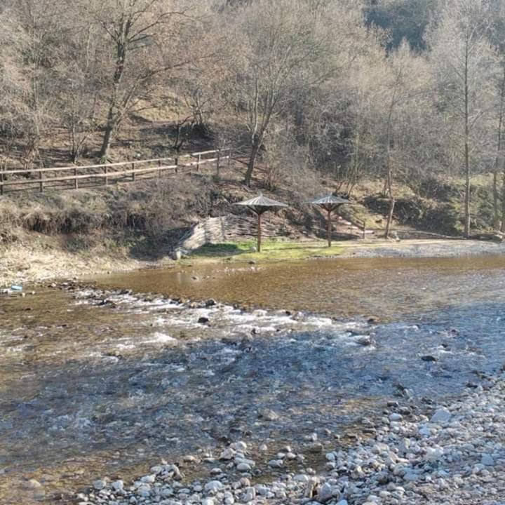 Sokobanja Apartmani Екстериор снимка