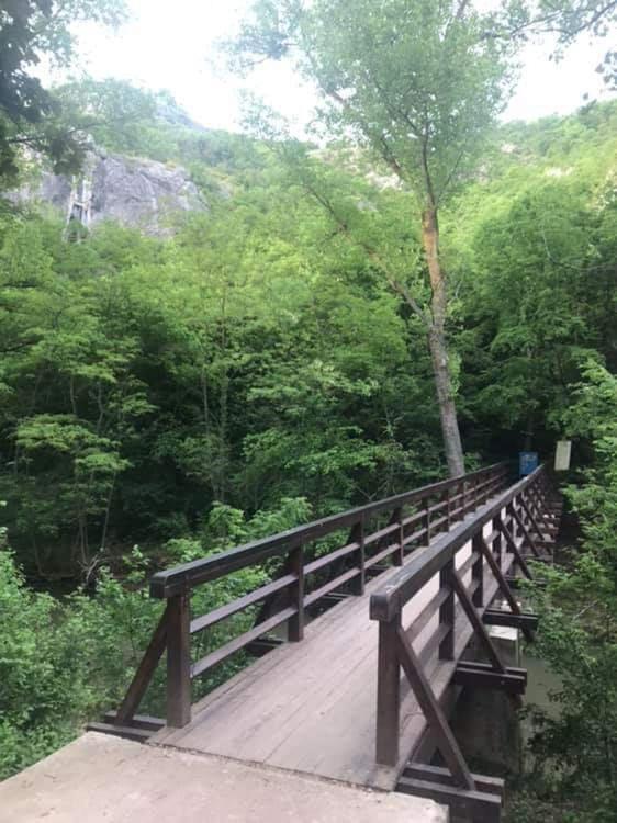 Sokobanja Apartmani Екстериор снимка