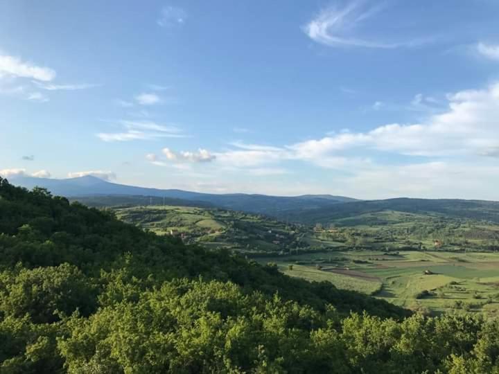 Sokobanja Apartmani Екстериор снимка